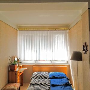 Standaard Familie Kamer